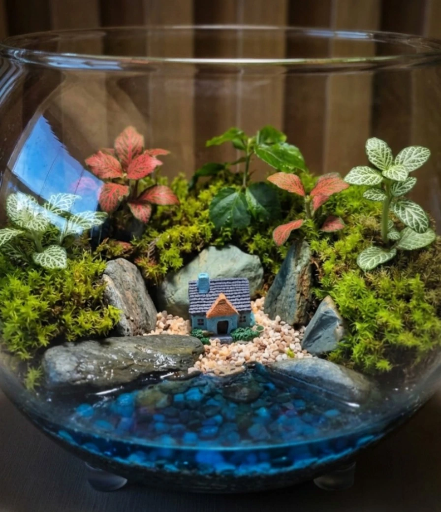 Terrário em vidro com plantas e musgo